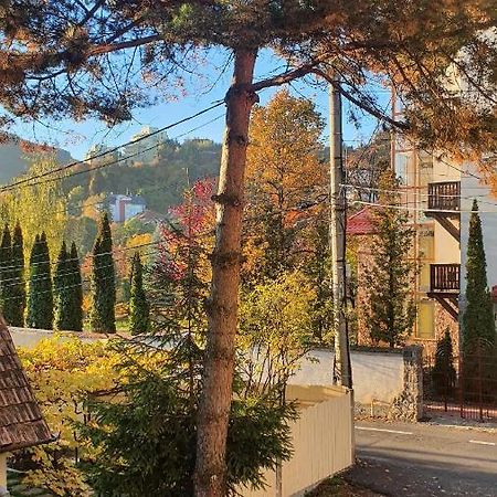 Central Luxury Apartment With City View Braşov Exterior foto