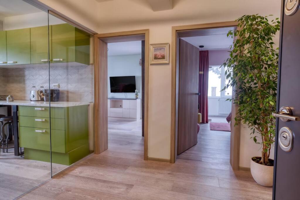 Central Luxury Apartment With City View Braşov Exterior foto