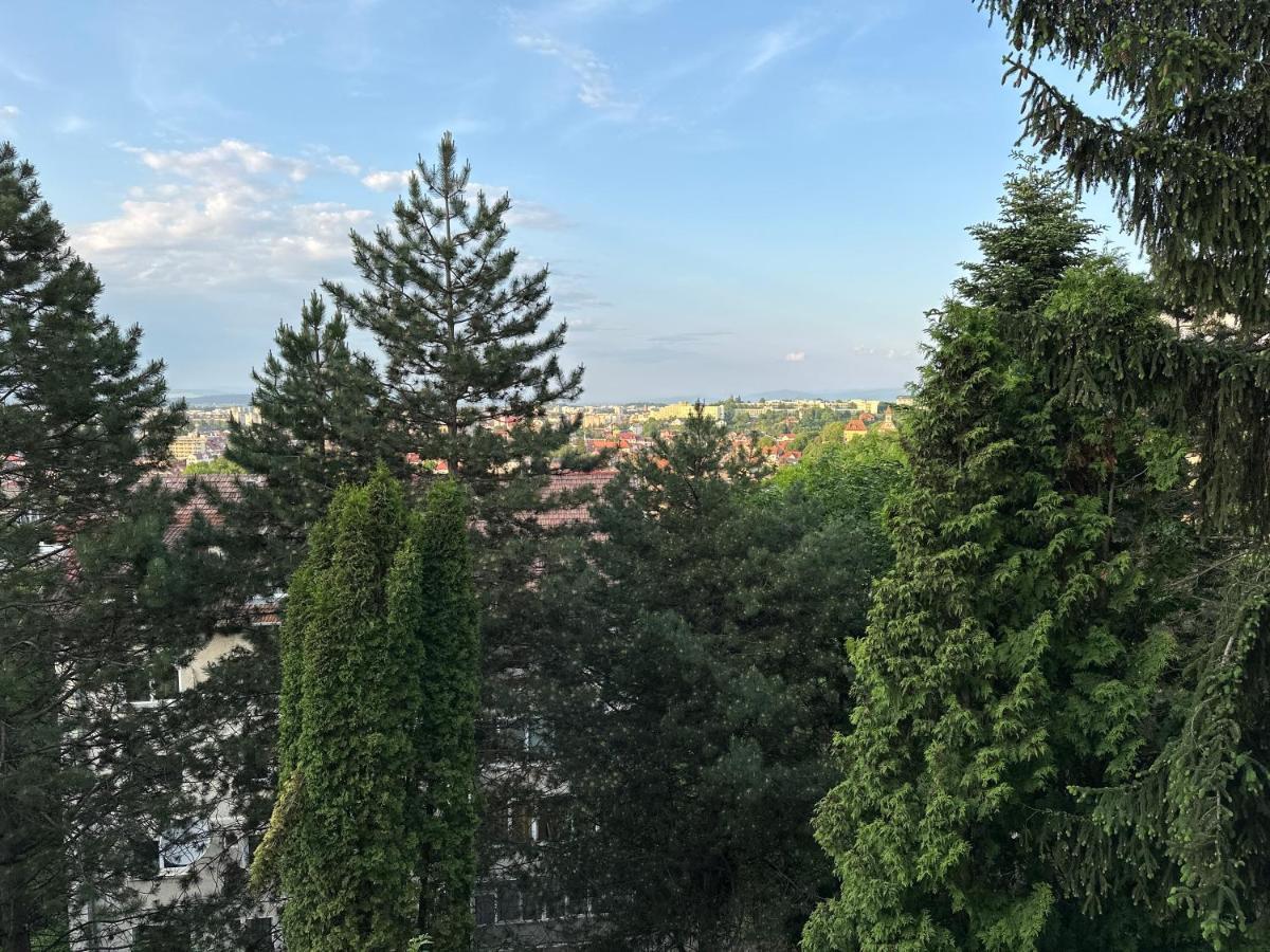 Central Luxury Apartment With City View Braşov Exterior foto